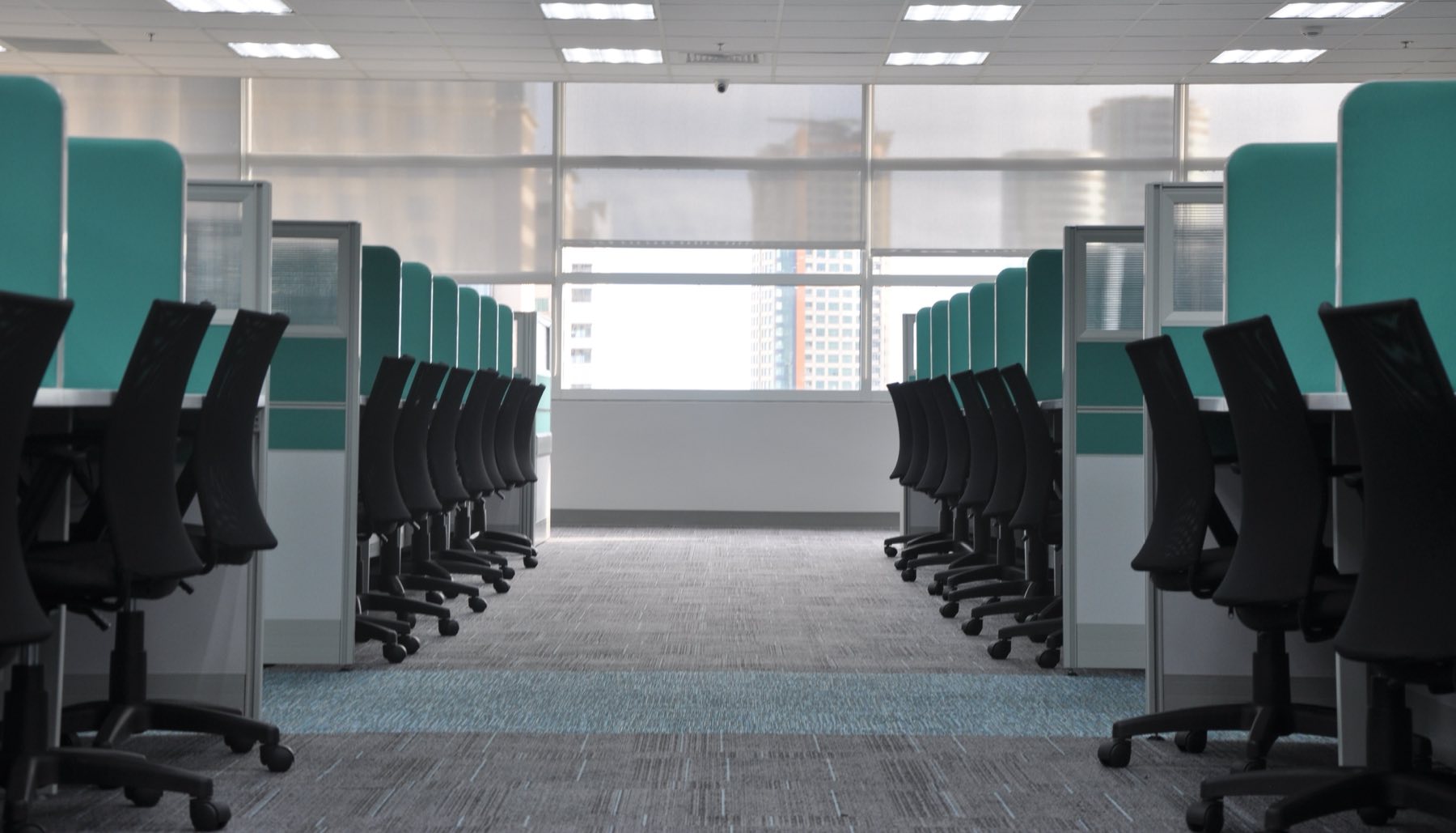 Clean, empty office cubicles